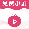 星辰影音永久VIP会员版